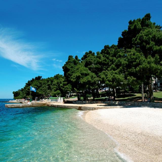 Hôtel Parentium Plava Laguna photo 9