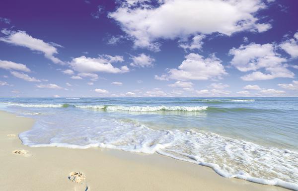 Photo de Isla Canela