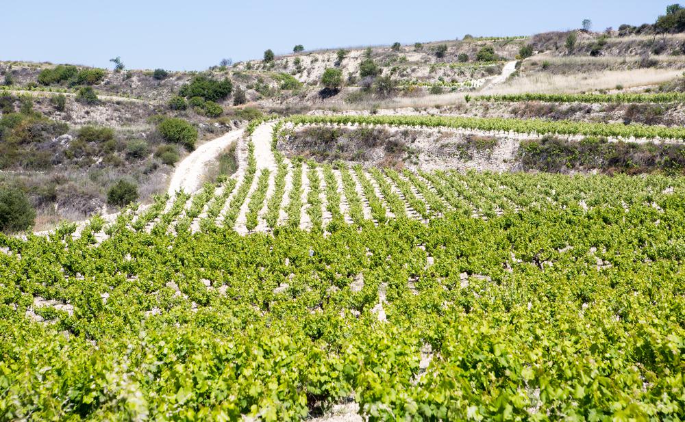 Chypre Photo : 12 sur 18