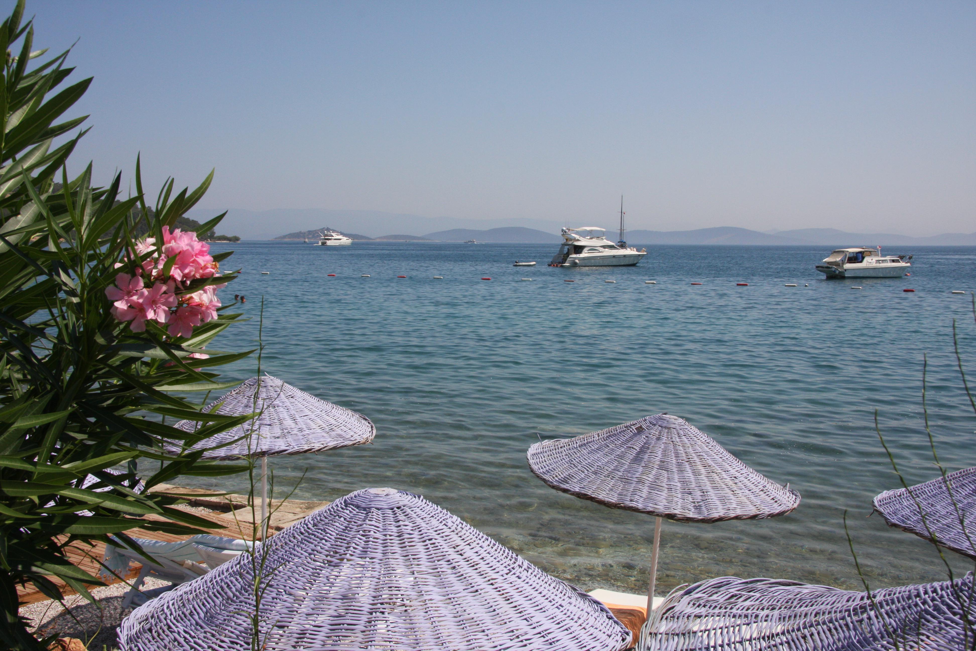 Bodrum-Torba Photo : 3 sur 4
