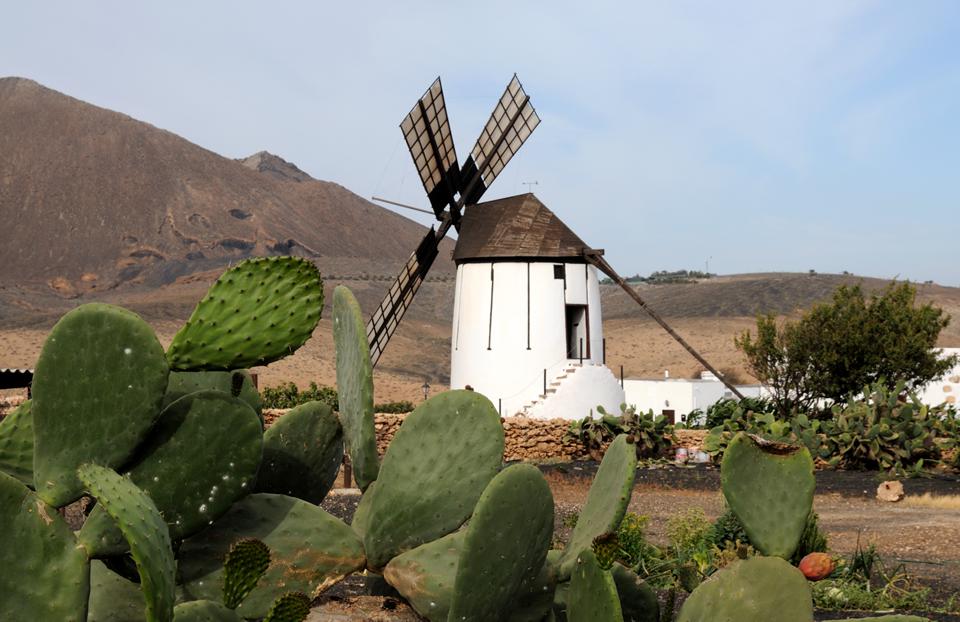 Fuerteventura Photo : 21 sur 25