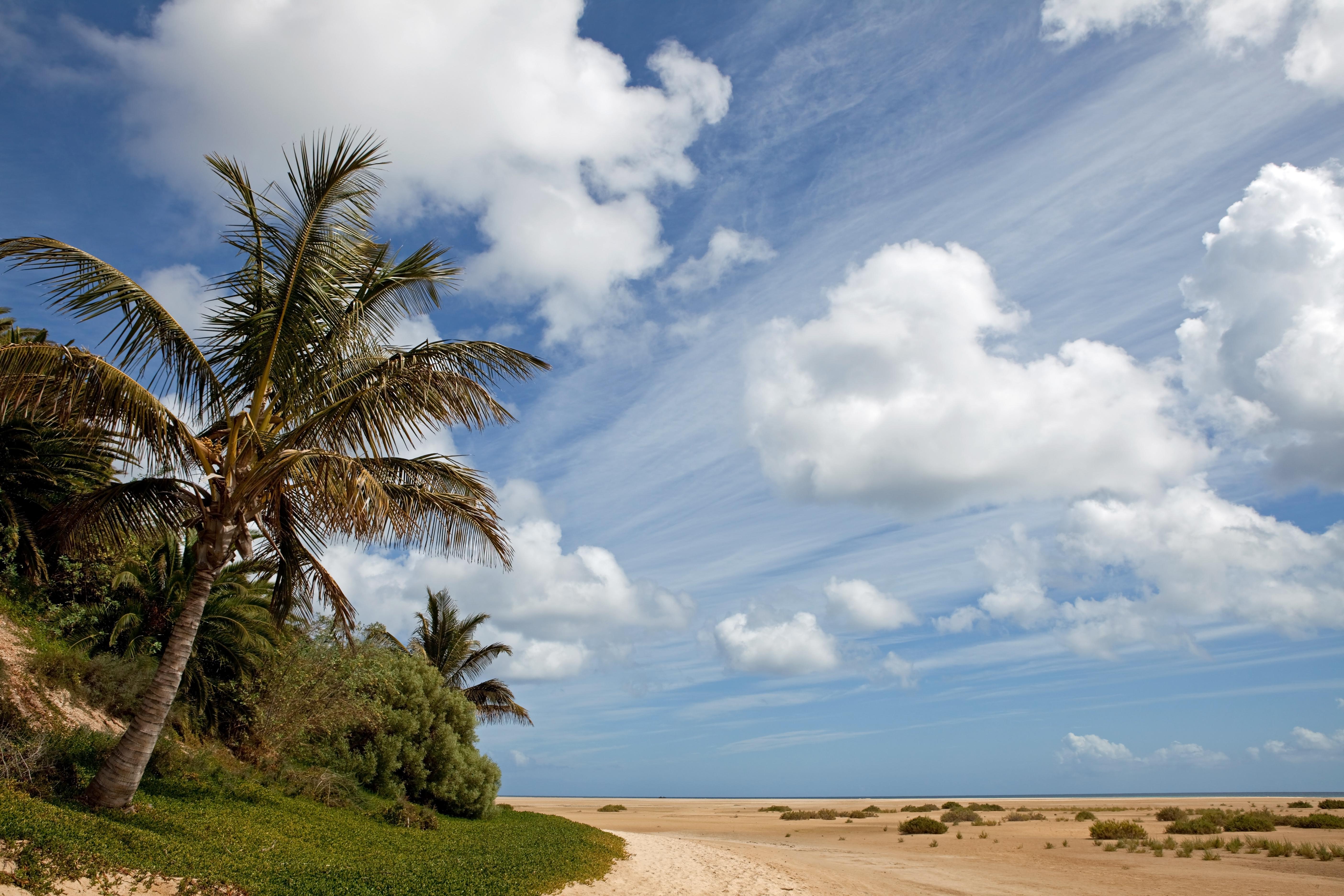 Jandía Playa Photo : 11 sur 11
