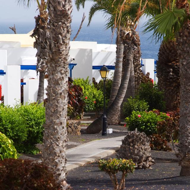 Bungalows Sandos Atlantic Gardens - réservé aux adultes photo 10