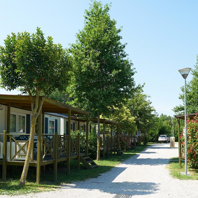 Camping Baia Verde photo 3