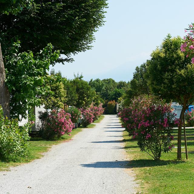 Camping Baia Verde photo 8