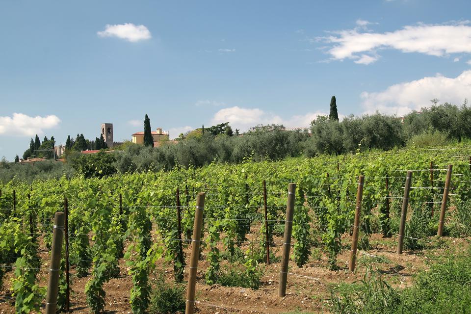 Moniga del Garda Photo : 13 sur 13