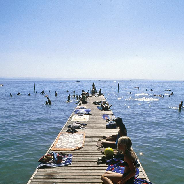 Camping Serenella photo 3