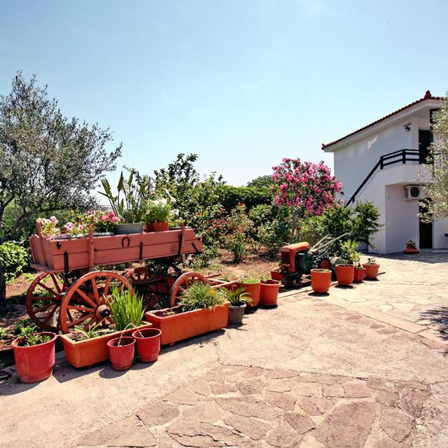 Hôtel Pela photo 15