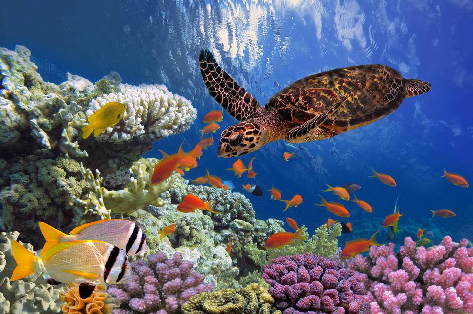 Marsa Alam Photo : 4 sur 4