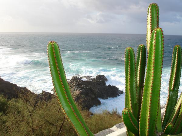 Photo de Playa Paraiso