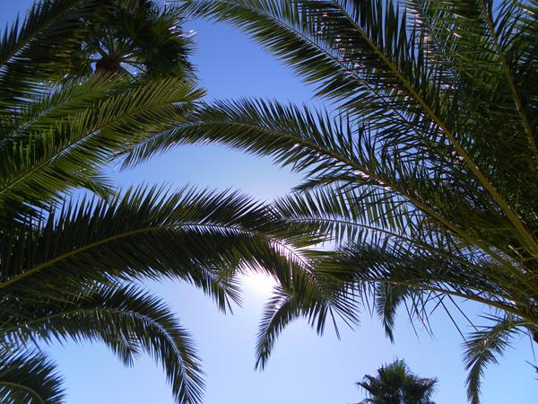 Photo de Almerimar