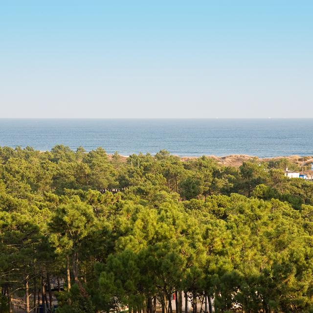 Monte Gordo Hôtel & Spa photo 3