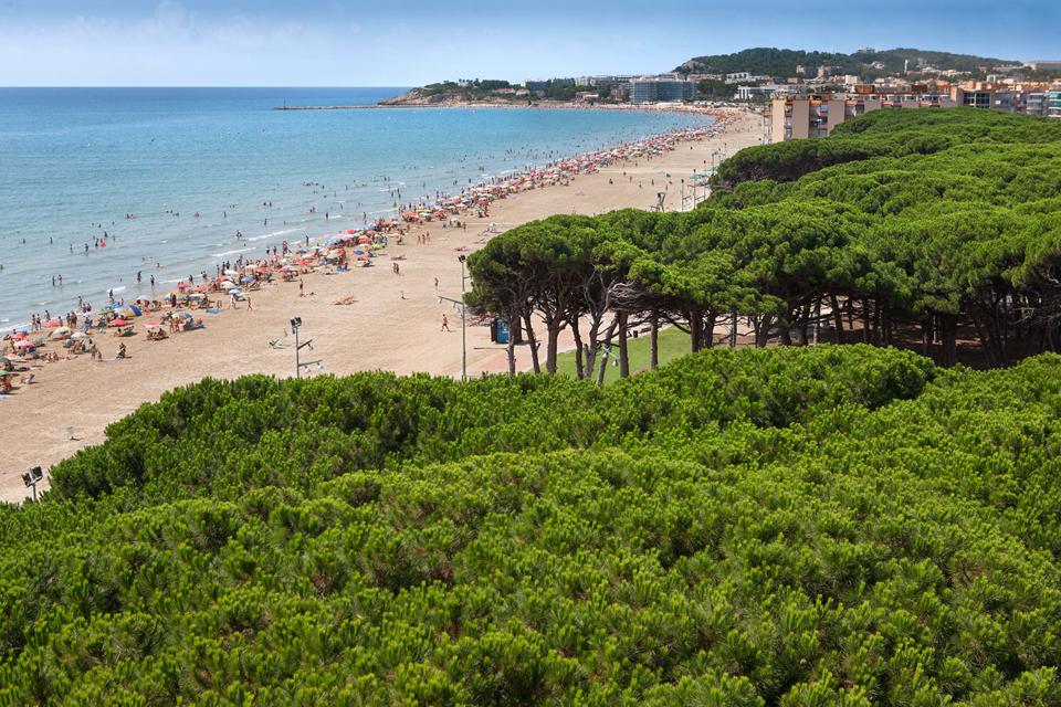 La Pineda Photo : 2 sur 2