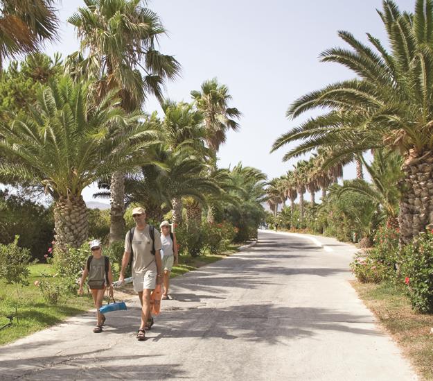 Hotel Tigaki Beach photo 5