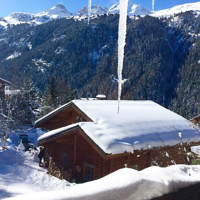 Chalet La Pomme de Pin photo 6