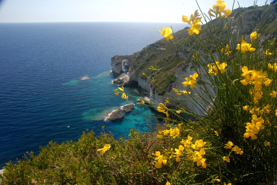 Paxos Photo : 16 sur 16