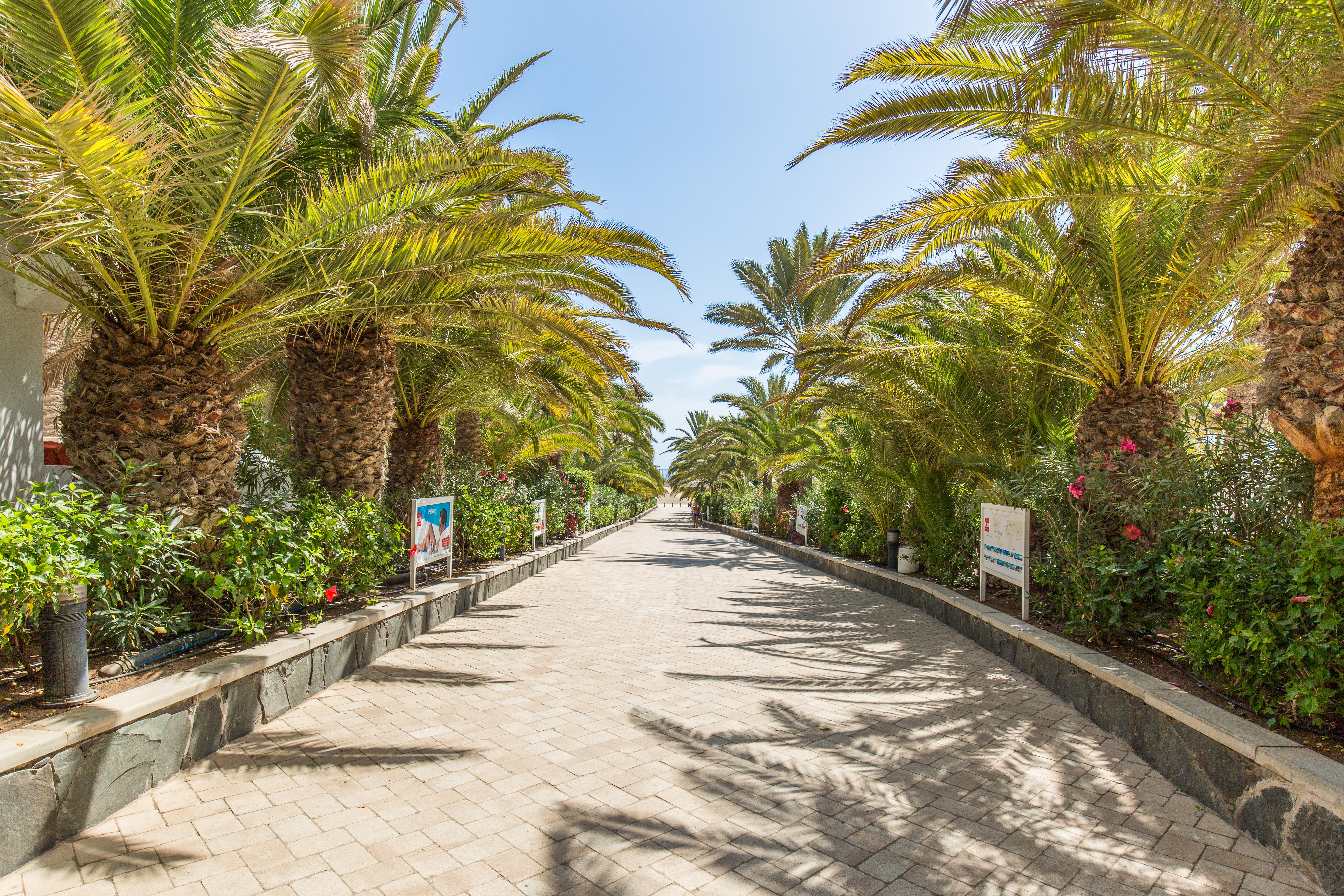 Maspalomas Photo : 3 sur 11