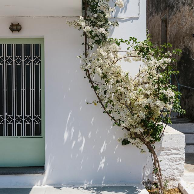 Hotel Dimitra photo 4