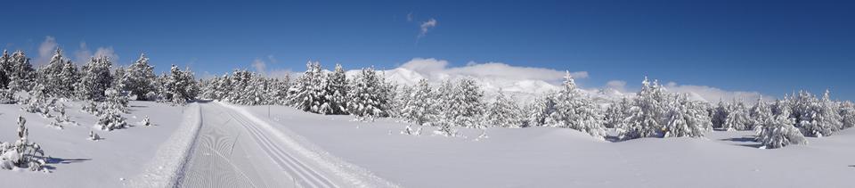 Pyrénées Photo : 1 sur 1