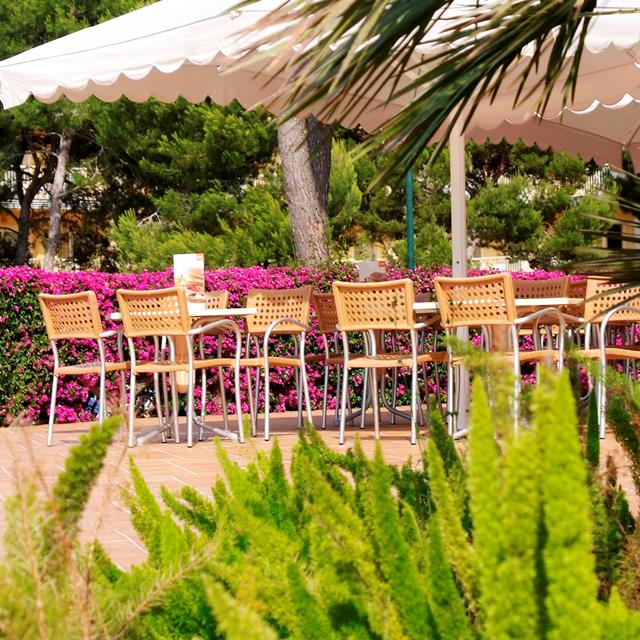 Aparthotel Zafiro Mallorca photo 15