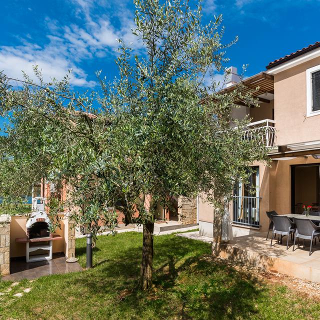 Appartements Amfora Plava Laguna photo 2