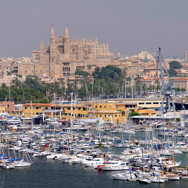 Hôtel Palma Bellver by Melia photo 12