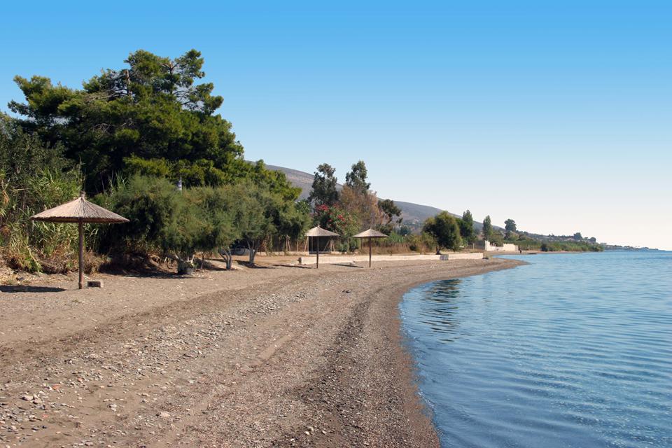 Amarynthos (Proche d'Erietra) Photo : 4 sur 15
