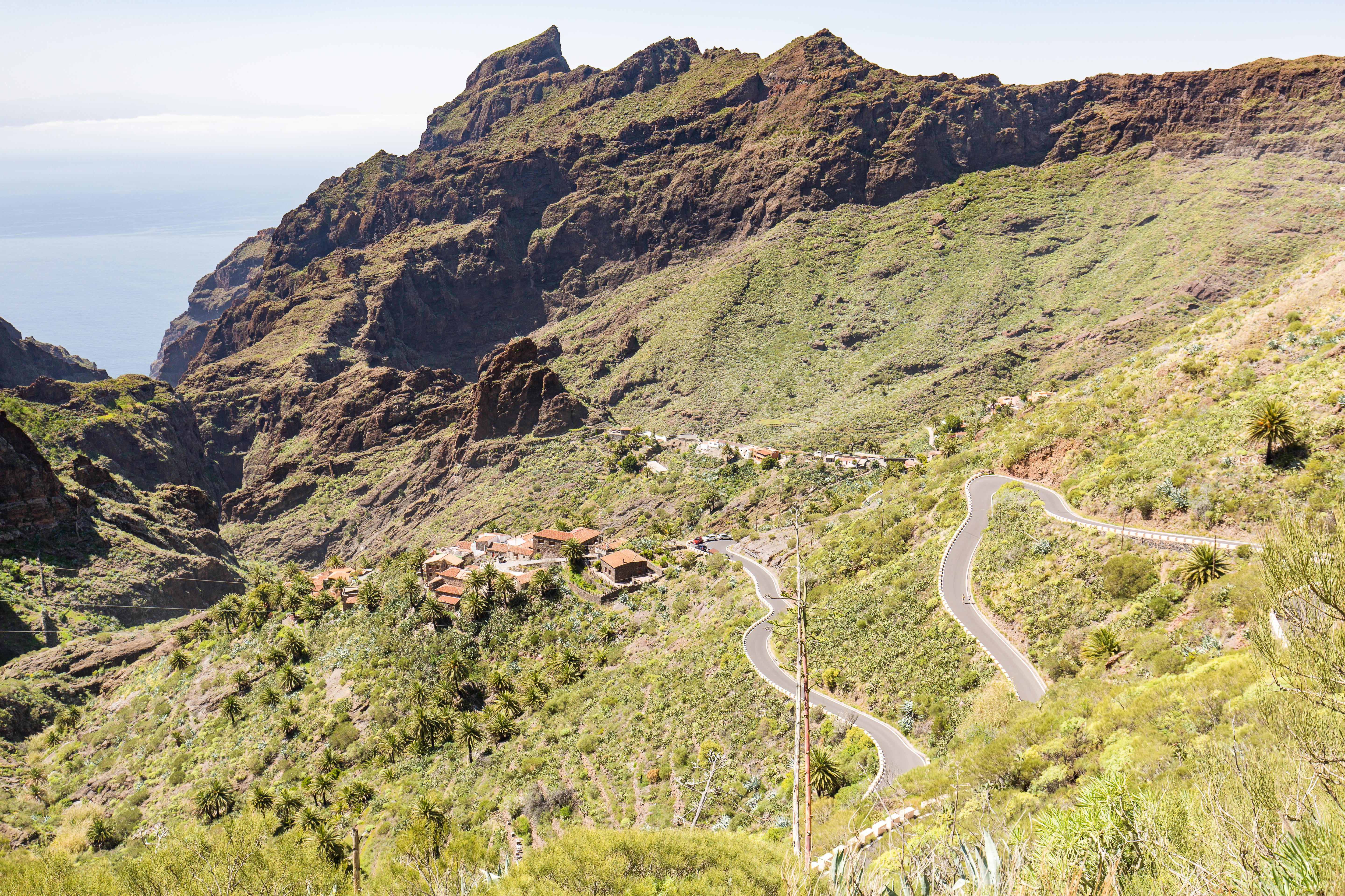 Tenerife Photo : 4 sur 7