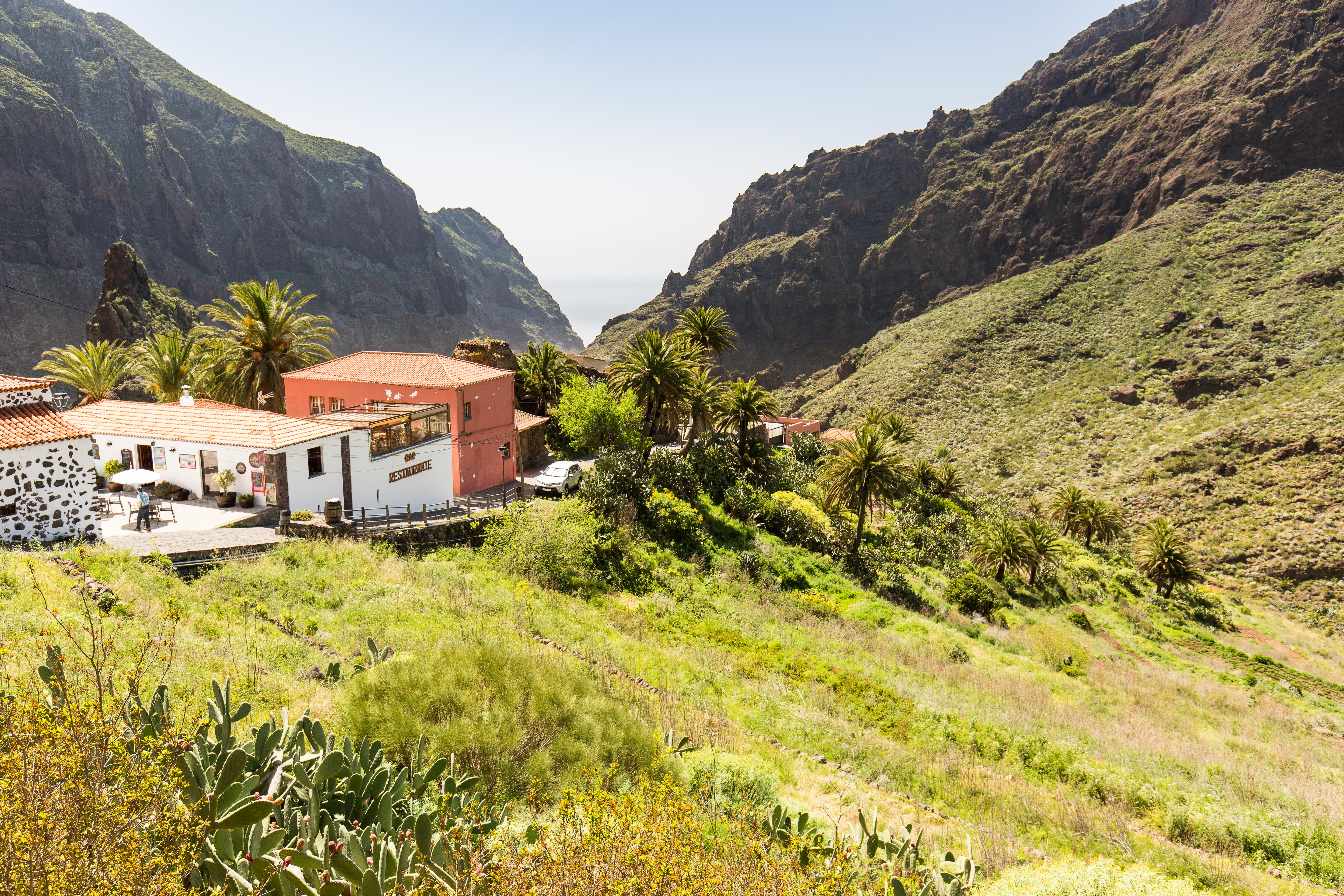 Tenerife Photo : 5 sur 7