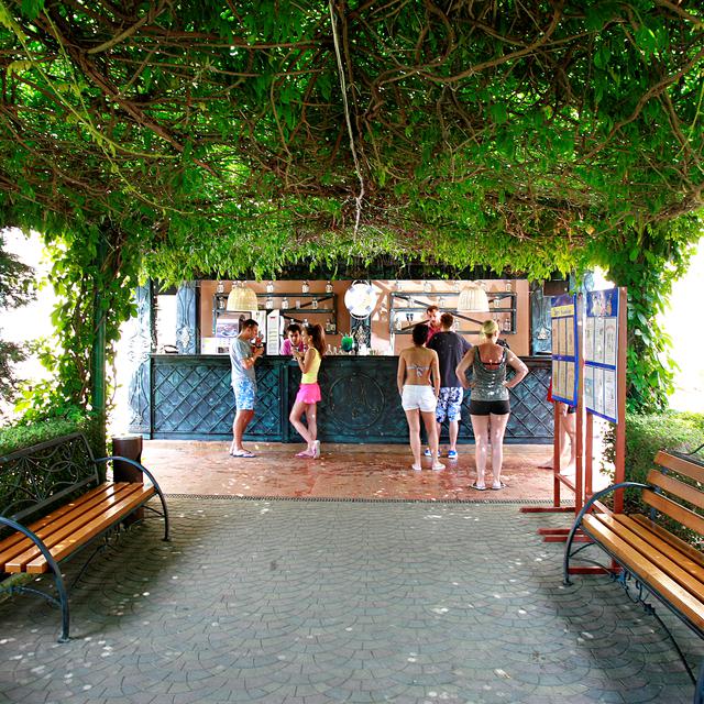 Hôtel Alba photo 11