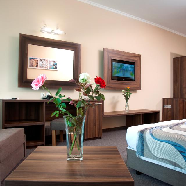 Hôtel Alba photo 13