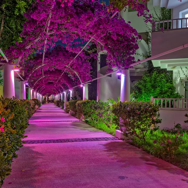 Hôtel Bendis Beach photo 13