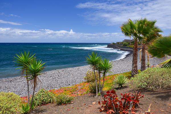 Photo de La Caleta