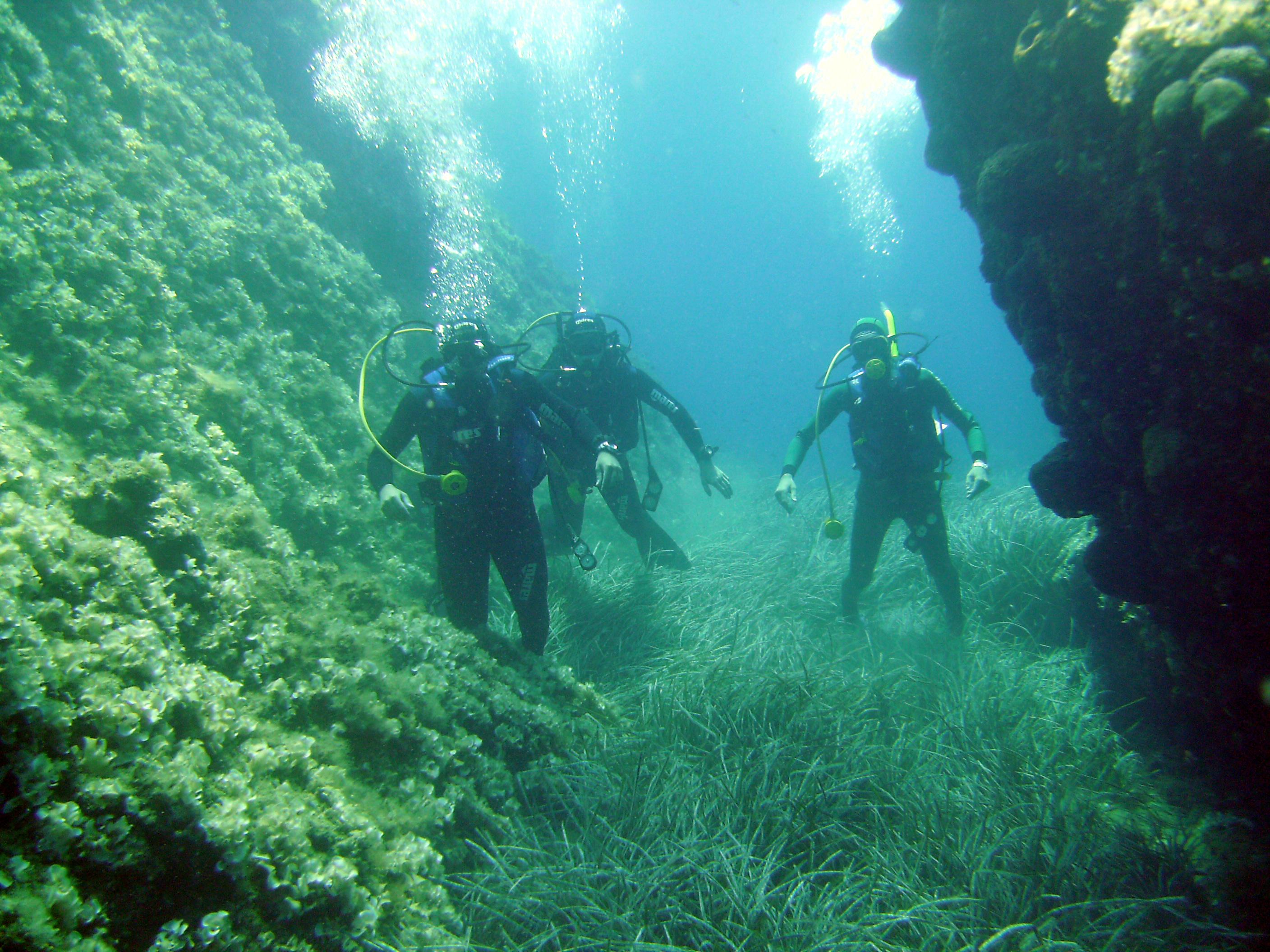 Marmari Photo : 8 sur 11