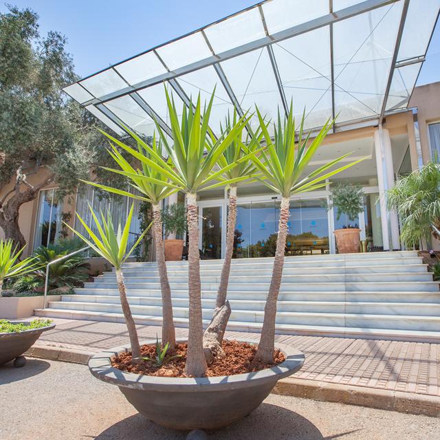 Hôtel Grupotel Santa Eularia & Spa - adult only photo 19