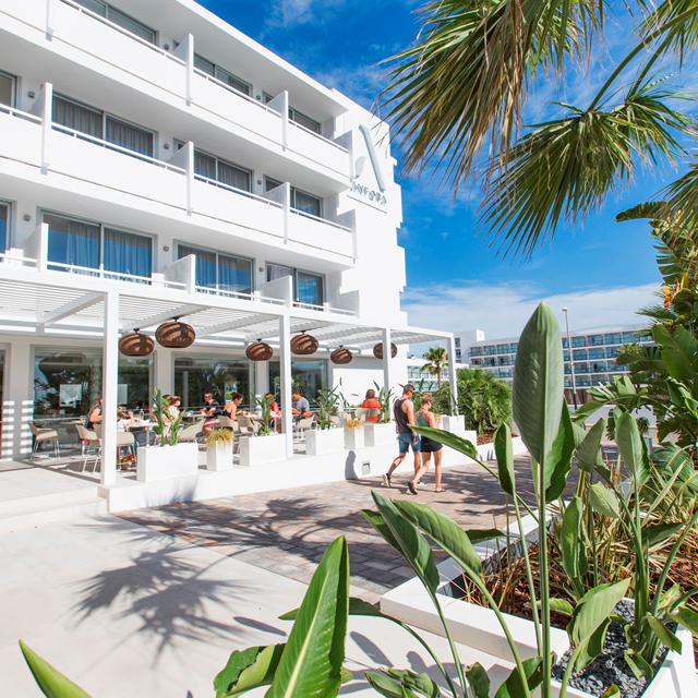 Hôtel Anfora Ibiza photo 22