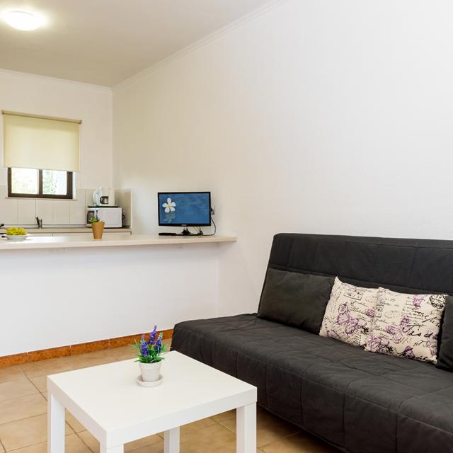 Appartements Terinikos photo 13