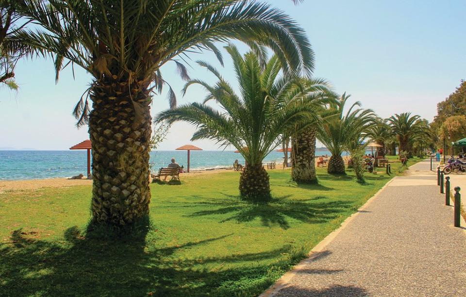 Nea Makri Photo : 4 sur 4