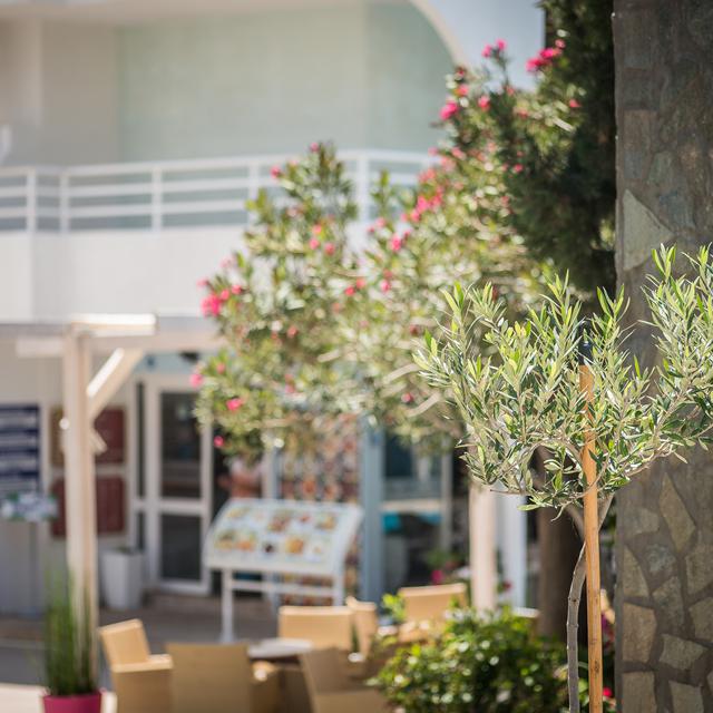 Anika Studios photo 6