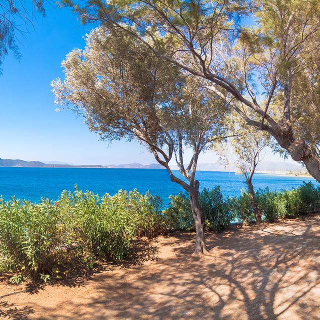Venus Beach Hotel photo 9