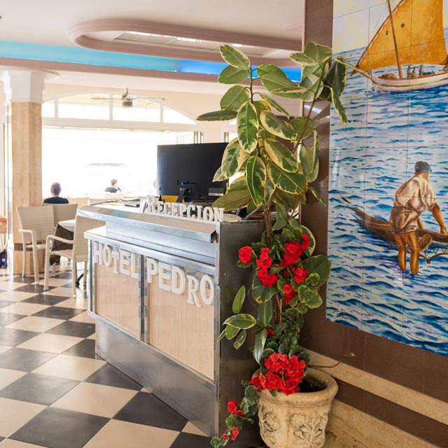 Hotel Pedro photo 13