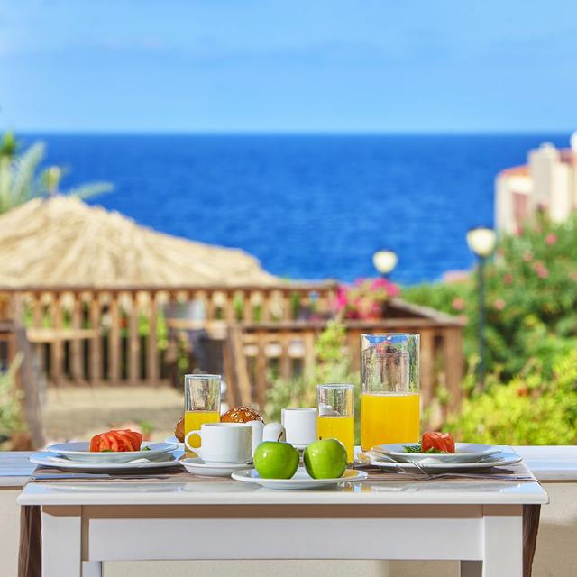 Hôtel Vasia Resort & Spa photo 14