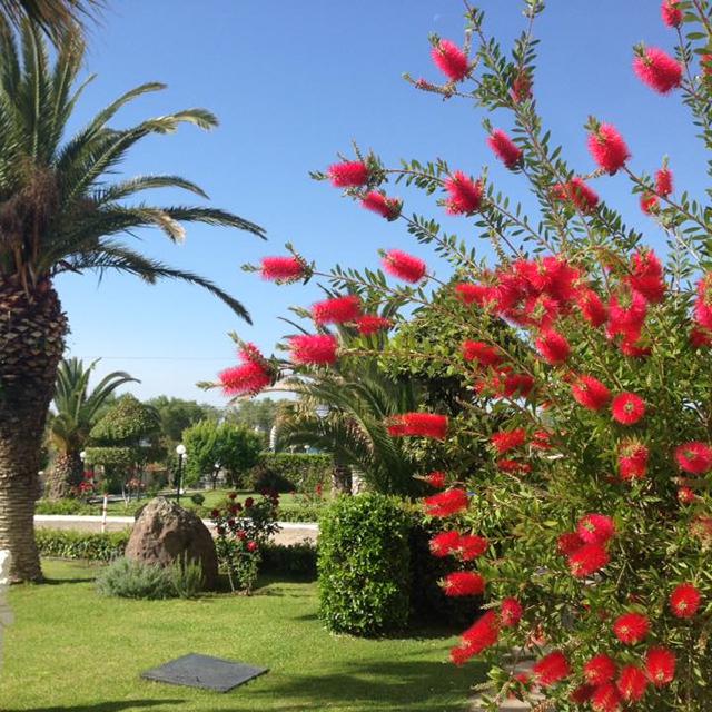 Hôtel Kalloni Bay photo 19