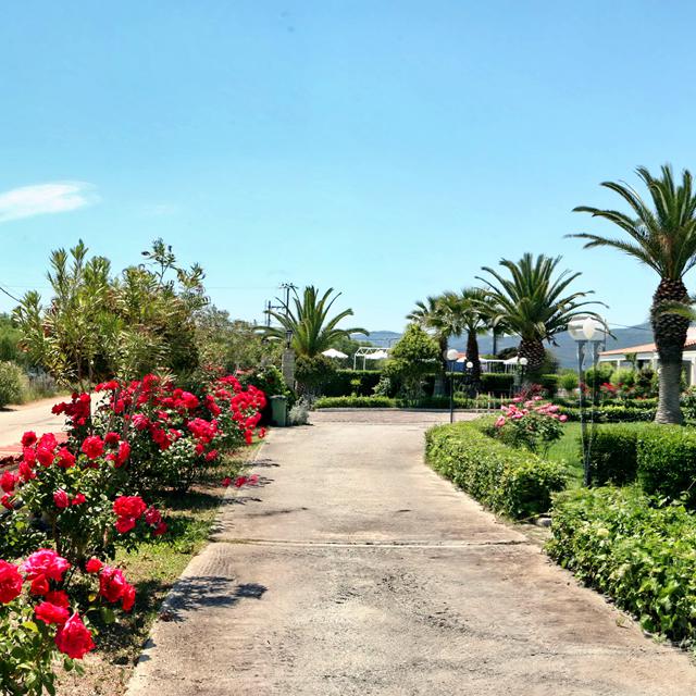 Hôtel Kalloni Bay photo 23
