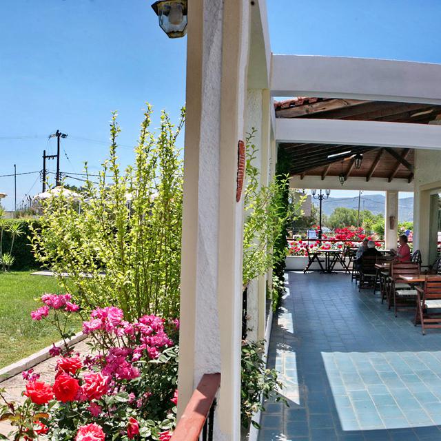 Hôtel Kalloni Bay photo 27