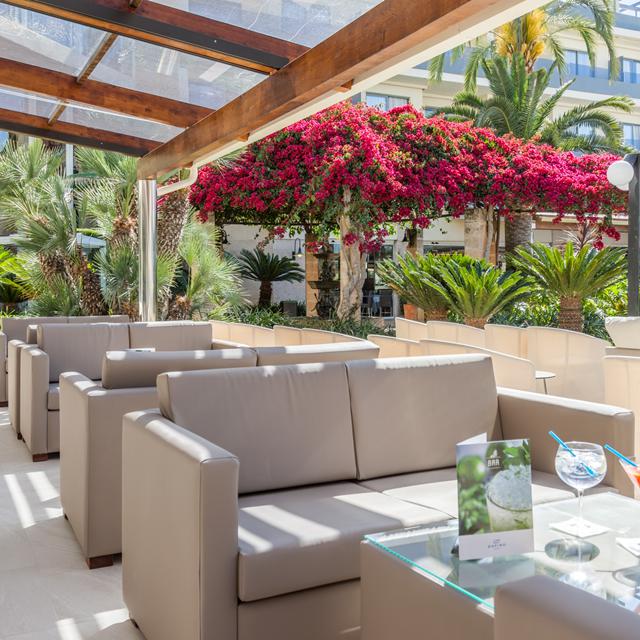 Zafiro Palmanova & Spa photo 18