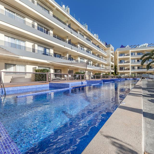 Zafiro Palmanova & Spa photo 12