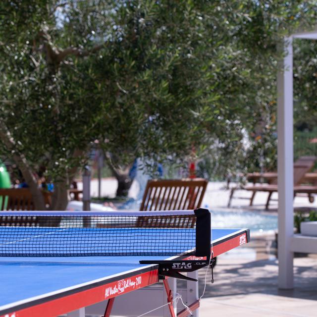 Hôtel Sonia Resort photo 25