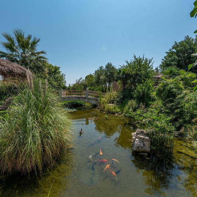 Hotel Achtis photo 16