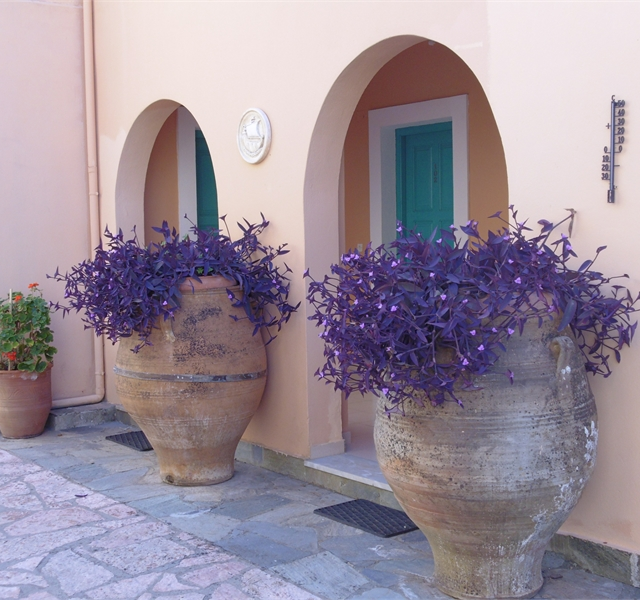Appartements Artemis photo 10